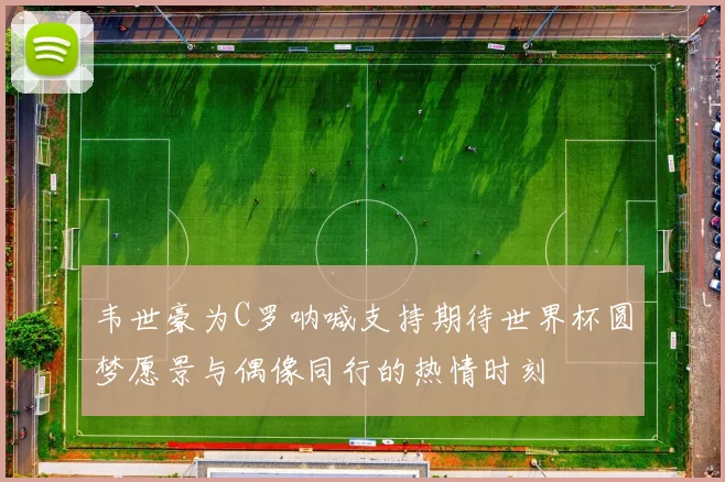 韦世豪为C罗呐喊支持期待世界杯圆梦愿景与偶像同行的热情时刻